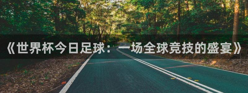 世界杯欧洲区预选赛赛程:《世界杯今日足球:一场全球竞技的盛宴》