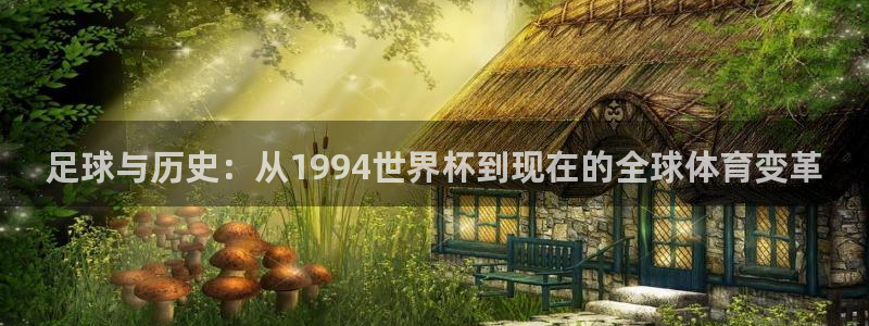 世界杯:足球与历史:从1994世界杯到现在的全球体育变革