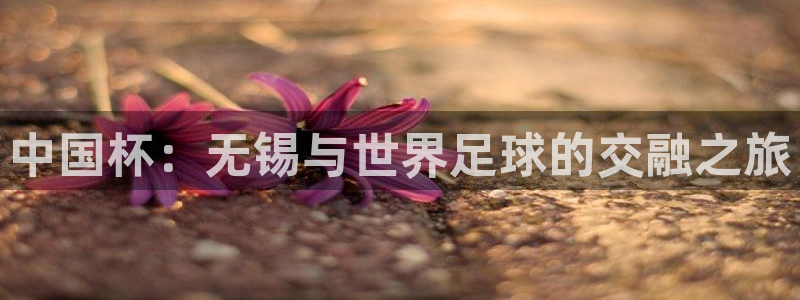 世界杯决赛预测:中国杯:无锡与世界足球的交融之旅