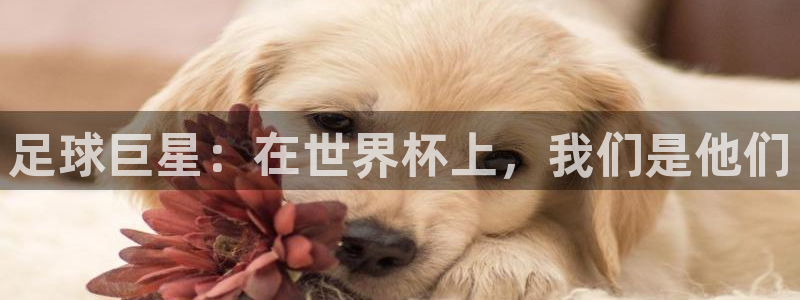 世界杯直播观看:足球巨星:在世界杯上,我们是他们