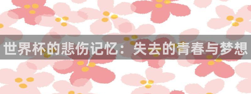 世界杯足球2026:世界杯的悲伤记忆:失去的青春与梦想